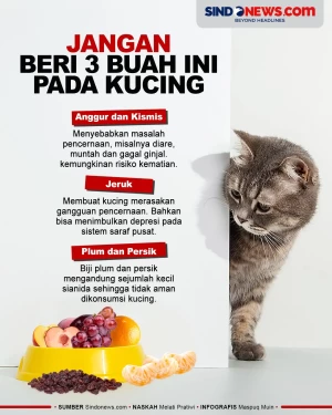 Berbahaya, Jangan Beri...