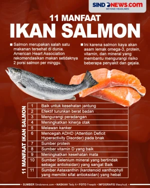 11 Manfaat Ikan Salmon,...