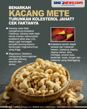 Benar Kacang Mete Dapat...