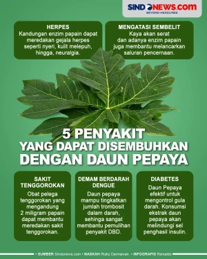 5 Penyakit yang Dapat...