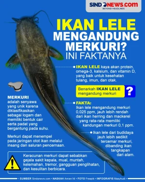 Benarkah Ikan Lele Mengandung...