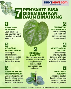 7 Penyakit Bisa Disembuhkan...
