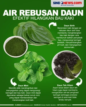 3 Air Rebusan Daun yang...