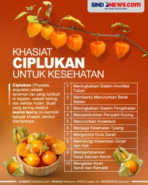 10 Khasiat Buah Ciplukan...