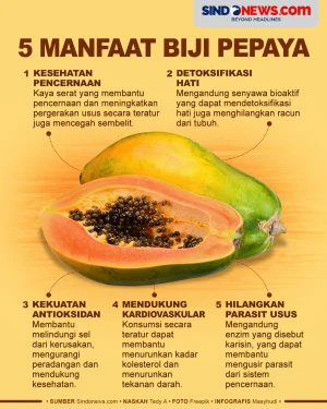 5 Manfaat Biji Pepaya,...