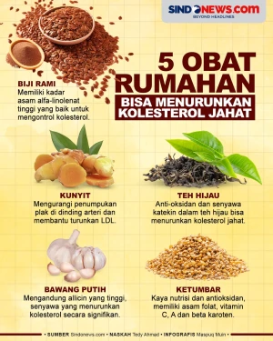 5 Obat Rumahan yang...