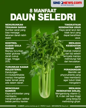 8 Manfaat Daun Seledri,...