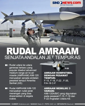 Rudal AMRAAM, Senjata...