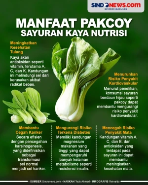 Manfaat Pakcoy, Sayuran...