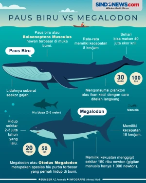 Perbandingan Hiu Megalodon...