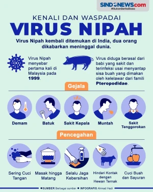 Waspadai Virus Nipah,...