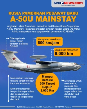 Angkatan Udara Rusia...