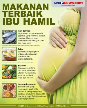 5 Makanan Terbaik Ibu...