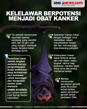 Ilmuwan AS Yakin Kelelawar...
