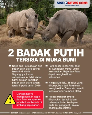 Di Ambang Kepunahan,...