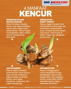 4 Manfaat Kencur yang...