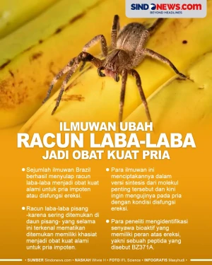Ilmuwan Ubah Racun Laba-laba...