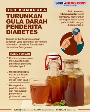 Khasiat Teh Kombucha,...