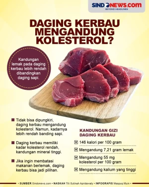 Daging Kerbau Mengandung...