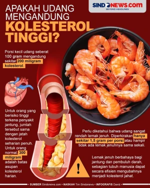 Apakah Udang Mengandung...