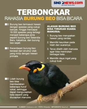 Terbongkar, Rahasia...