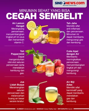 Cegah Sembelit, Ini...