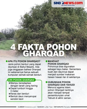 4 Fakta Pohon Gharqad,...