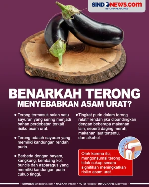 Apakah Terong Bisa Menyebabkan...