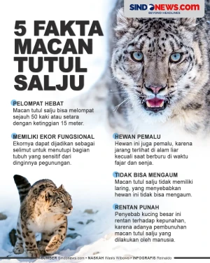 5 Fakta Macan Tutul...