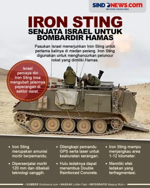 Iron Sting, Senjata...