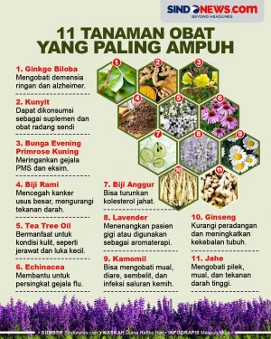 11 Tanaman Obat yang...