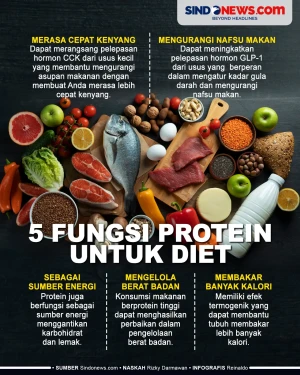 5 Fungsi Protein untuk...