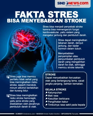 Fakta Stres Bisa Menyebabkan...