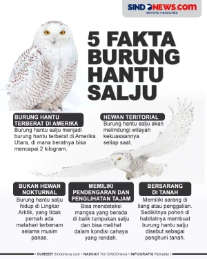 5 Fakta Menarik Burung...