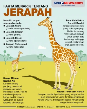 6 Fakta Jerapah, Hewan...