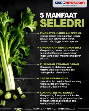 Manfaat Seledri yang...