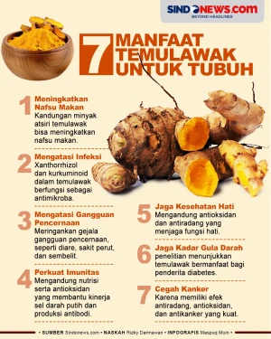 7 Manfaat Temulawak,...