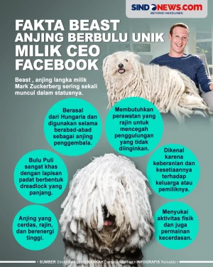 Fakta Menarik Beast,...