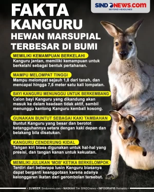 Fakta Kanguru, Hewan...