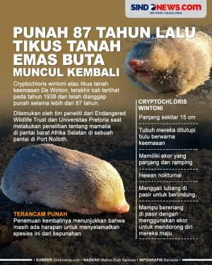 Punah 87 Tahun Lalu,...