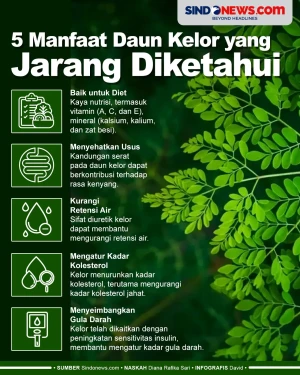 Kaya Nutrisi, Berikut...