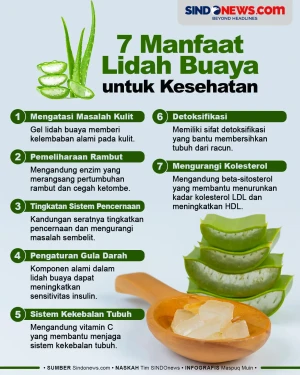 7 Manfaat Lidah Buaya...