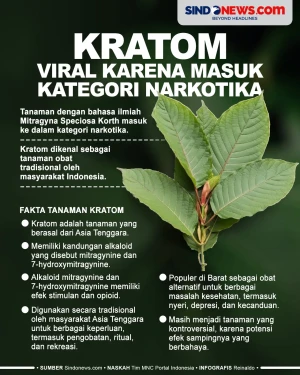 Kratom, Tanaman Herbal...