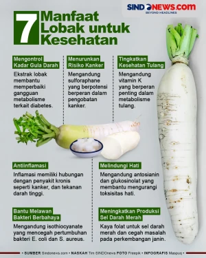 7 Manfaat Lobak, Salah...