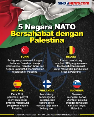 5 Negara Anggota NATO...