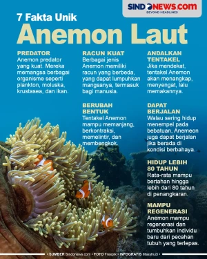 7 Fakta Unik Anemon...
