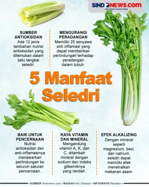 5 Manfaat Seledri Untuk...