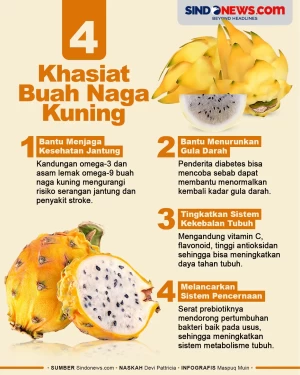 4 Khasiat Buah Naga...