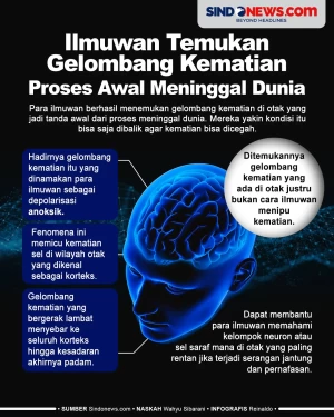 Ilmuwan Temukan Gelombang...