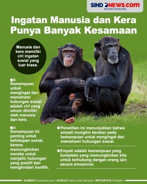 Ingatan Manusia dan...